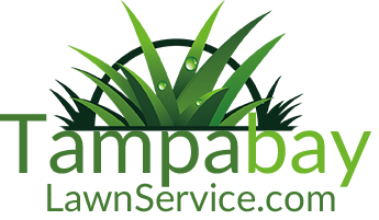 Tampabay Lawn Service